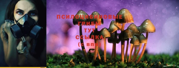 mix Аркадак